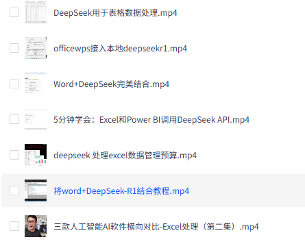 Deepseek 结合 Word EXCEL实现高效办公视频教程