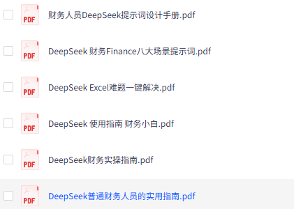 Deepseek 结合财务实操教程文档