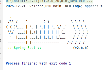 IDEA 启动 Process finished with exit code 1 异常退出无日志如何排查